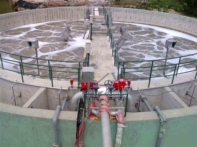 SFC Viet Nam bi World Bank 'cam cua' 10 nam vi sai pham hinh anh