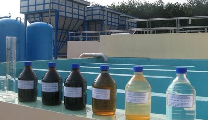 SFC Viet Nam se vao danh sach den dau thau quoc gia hinh anh