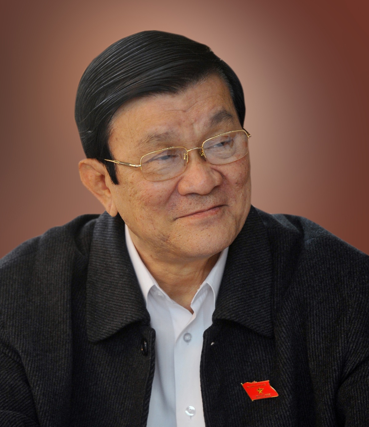 miễn nhiệm Chủ tịch nước ảnh 1 mien nhiem Chu tich nuoc anh 1