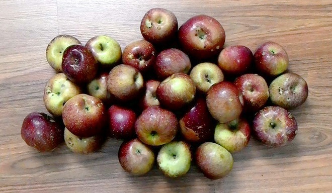 Su that nguon goc tao da Ha Giang hinh anh