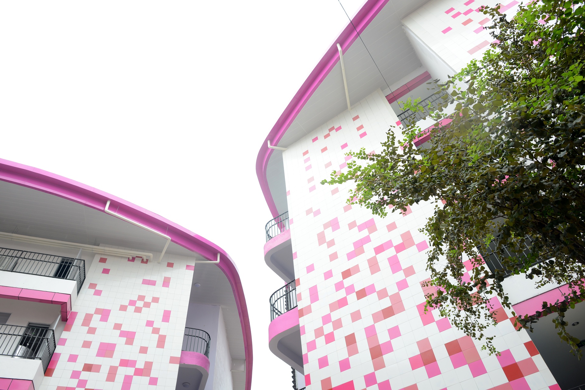 Khanh thanh TH School anh 9