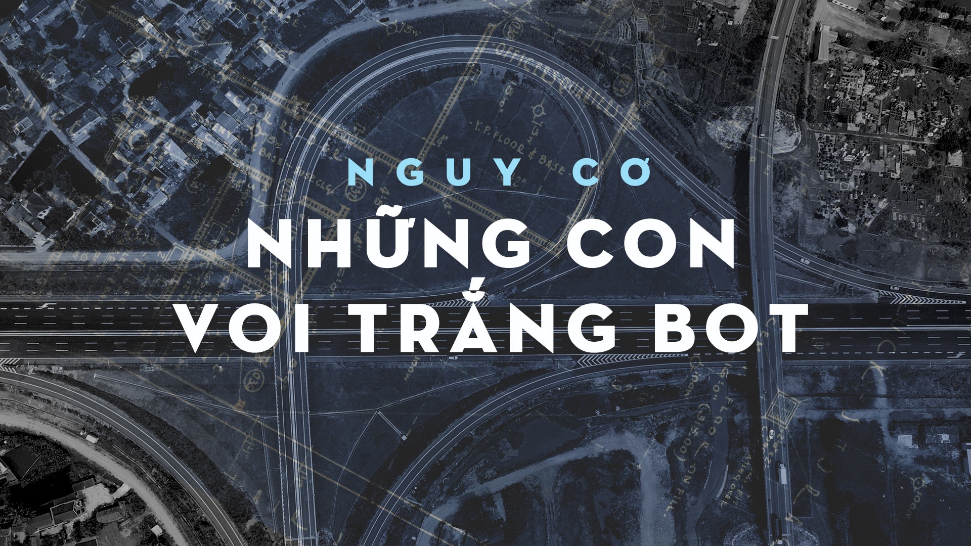 Nhung con voi trang BOT anh 1