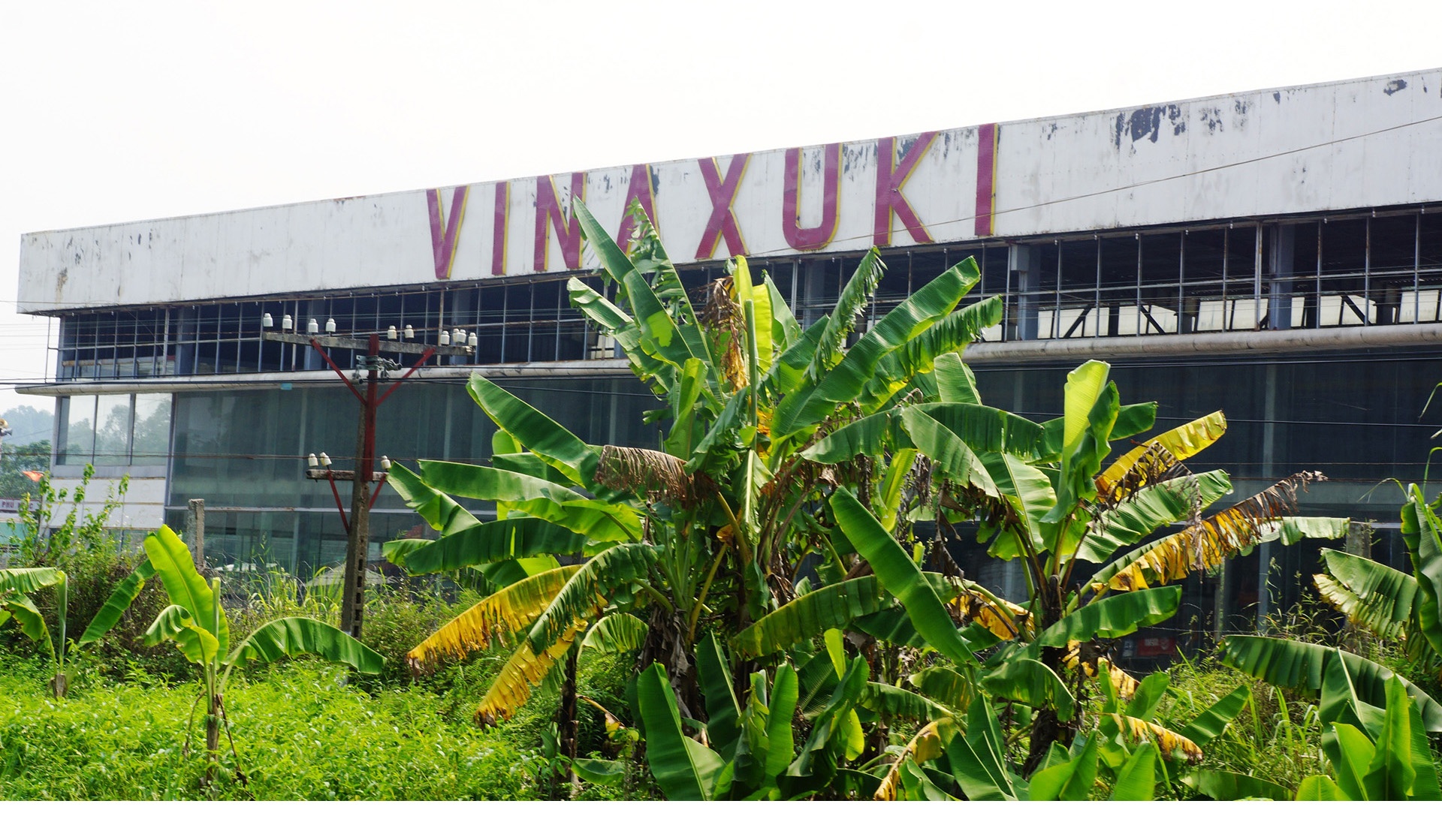 giac mo 1/4 the ky ve cong nghiep oto anh 11