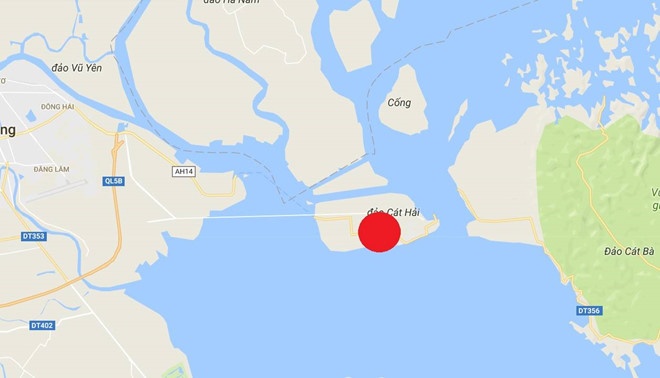 Pham Nhat Vuong lam oto anh 3