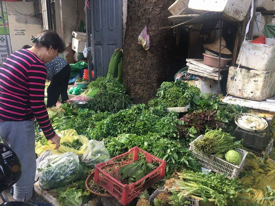Rau xanh doi gia tai cho Ha Noi sau mua lut hinh anh