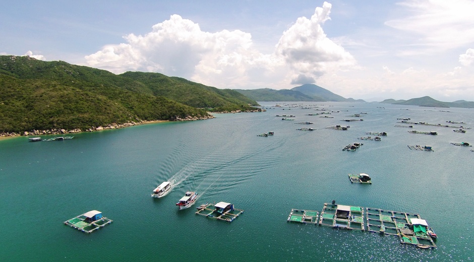 Khat vong dac khu kinh te va nhung cau hoi ty do hinh anh