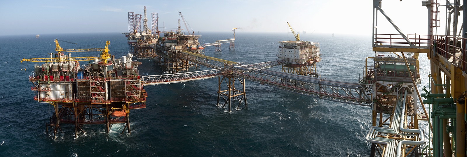 PVN co dieu le to chuc va hoat dong moi hinh anh