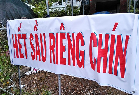 Thực hư về “sầu riêng ăn trả hạt ảnh 3 Thuc hu ve “sau rieng an tra hat anh 3