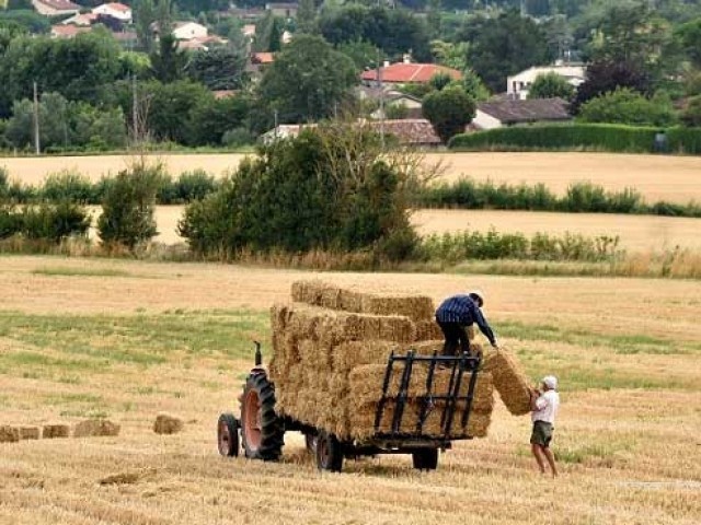 Trung Quoc do tien mua dat nong nghiep cac nuoc phat trien hinh anh