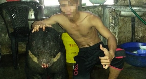 Thanh nien khoe anh giet gau len mang dang o Malaysia hinh anh