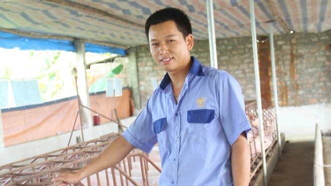 Tot nghiep dai hoc ve nuoi lon hinh anh