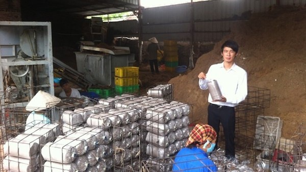 Nguyễn Đức Tình tại nơi sản xuất mộc nhĩ.