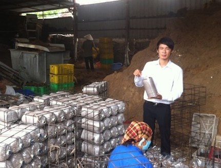 Lam giau nho khac biet hinh anh