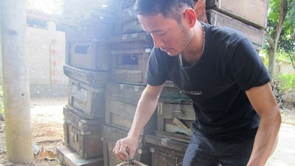 Anh Phong kiểm tra các tầng mật.