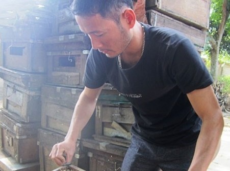 Ty phu tu nuoi ong lay mat hinh anh