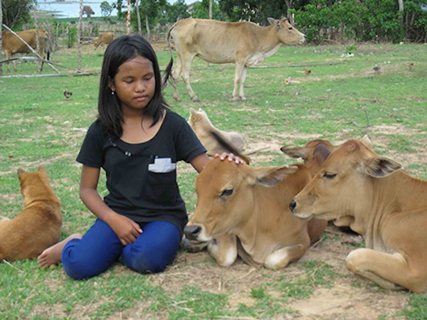 Gap lai than dong: Thien tai bat dac di hinh anh
