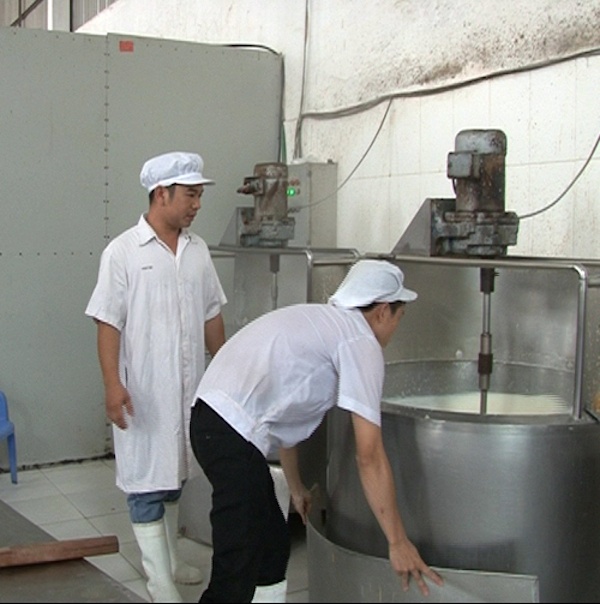 Đào Công Trường (bên trái) cùng công nhân kiểm tra chất lượng làm bánh sữa Ba Vì.