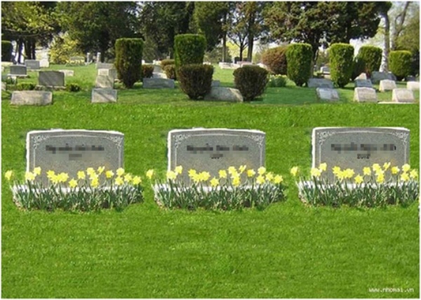 Những ngôi mộ ảo trên mạng tưởng nhớ những hài nhi bất hạnh.