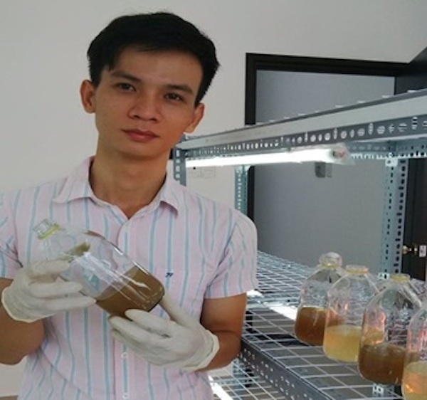 Ngô Kim Lai trong phòng thí nghiệm nuôi trồng đông trùng hạ thảo ở công ty.