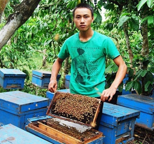 Bảo Trung và đàn ong của mình.