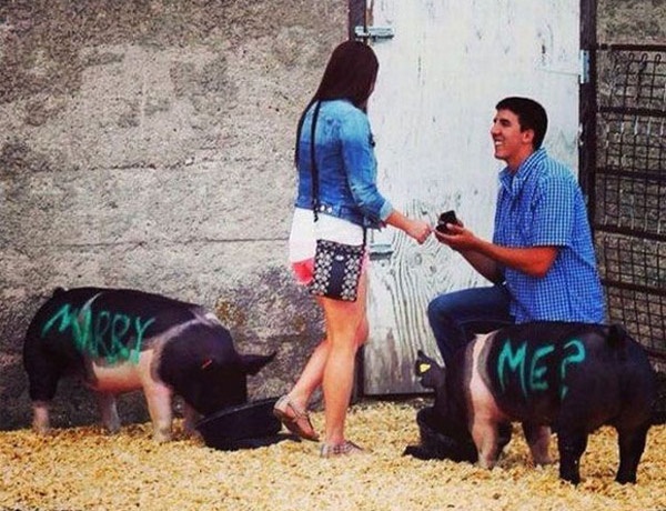 Nhung man to tinh co 1-0-2 vong quanh the gioi hinh anh