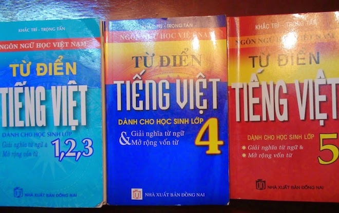 Ra soat, thu hoi 8 cuon tu dien tieng Viet hinh anh