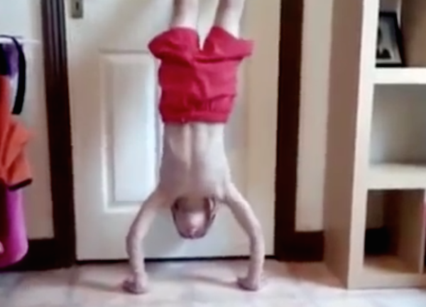 Clip cau be 8 tuoi chong day o nha hinh anh