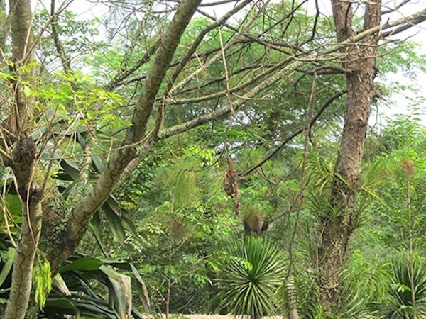 Nhiep anh kieu doc… ac! hinh anh