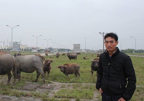 8X so huu dan trau tri gia tien ty o Ha Noi hinh anh