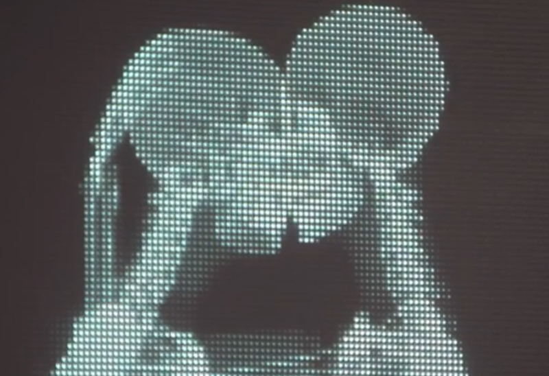 Clip tinh yeu gay xuc dong hot tren mang hinh anh