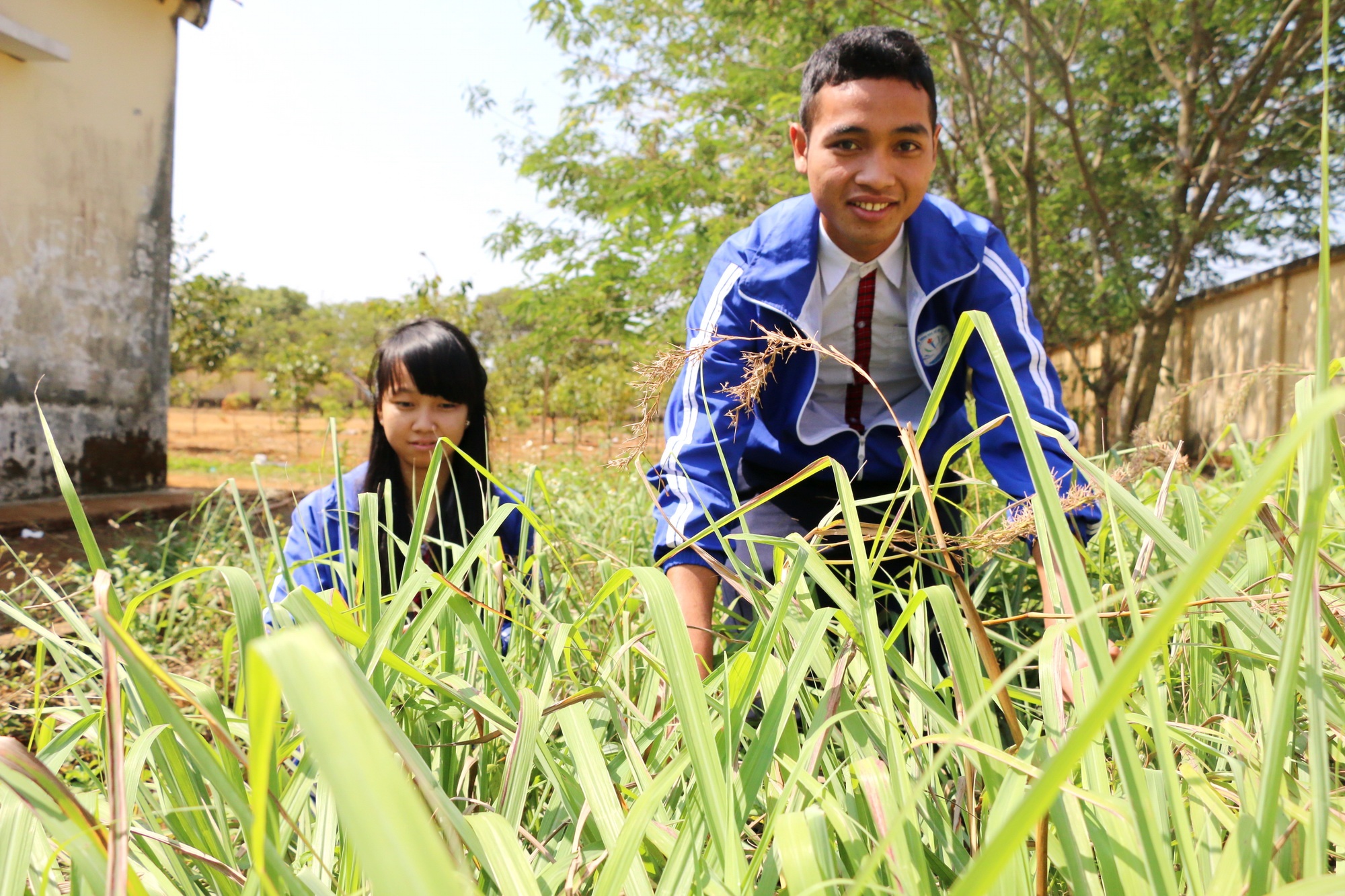 sữa tắm đuổi muỗi của học sinh ảnh 1 sua tam duoi muoi cua hoc sinh anh 1