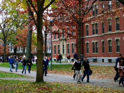 mat trai du hoc anh 1