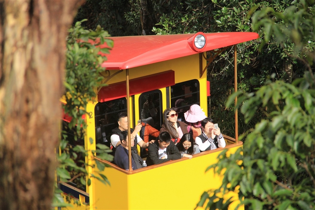 Tet tren dinh Ba Na,  Ba Na,  Le hoi tren dinh Ba Na anh 6