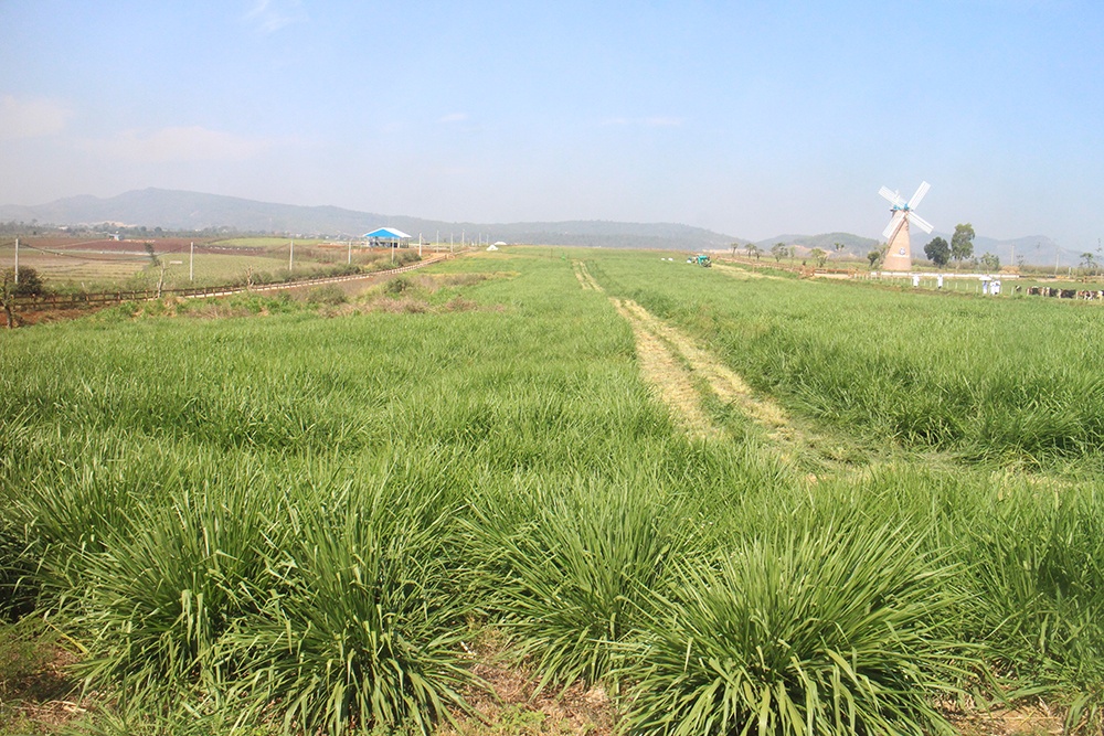 Vinamilk,  trang trai huu co,  sua organic anh 4