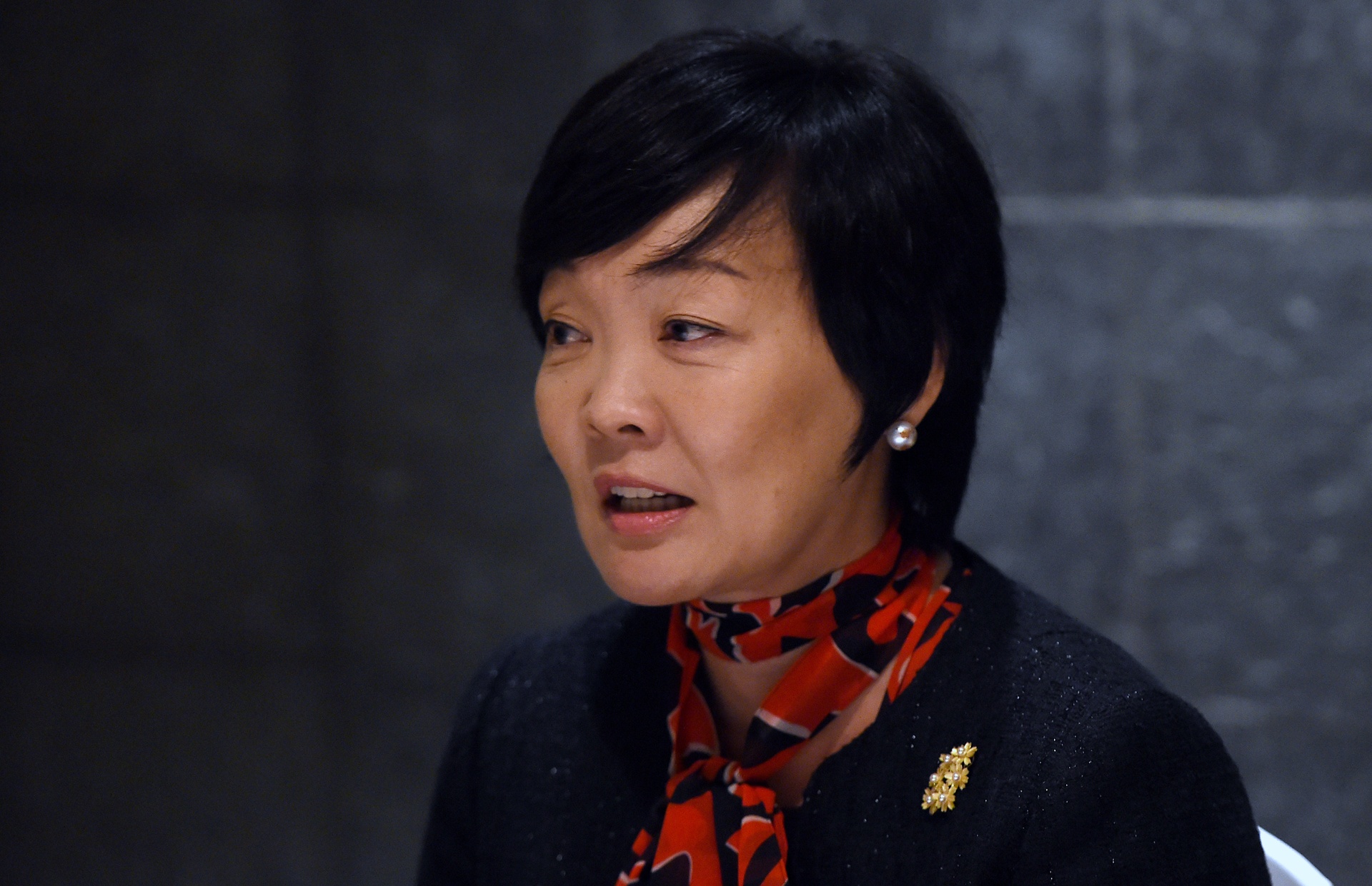 đệ nhất phu nhân Nhật Bản ảnh 7 de nhat phu nhan Nhat Ban anh 7