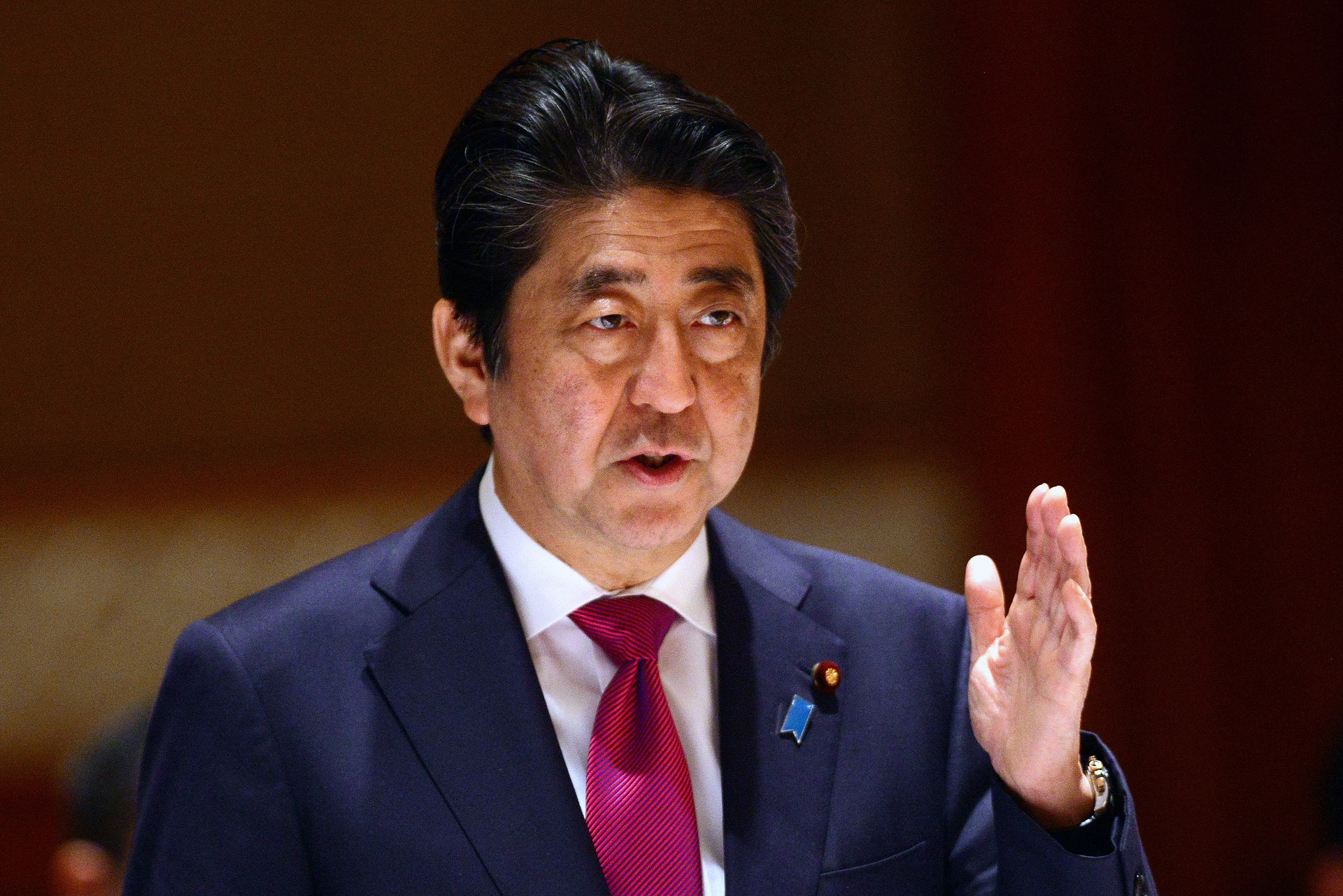 'Chinh phu va doanh nghiep Nhat tiep tuc la doi tac cua VN' hinh anh