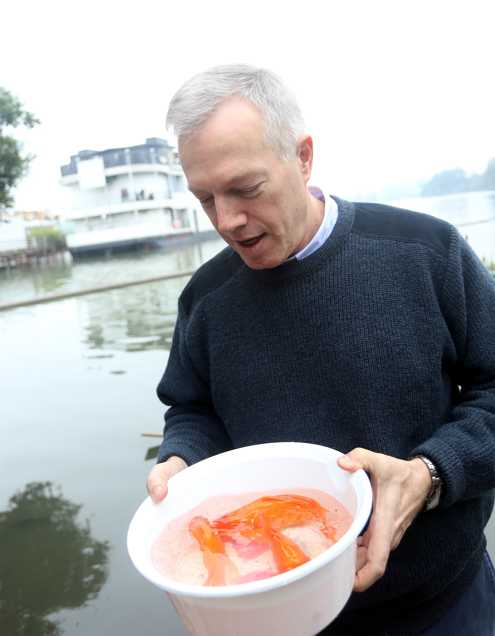 đại sứ Mỹ thả cá chép ảnh 1 dai su My tha ca chep anh 1