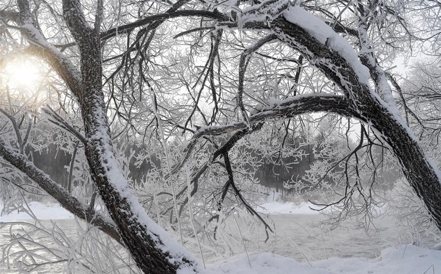 mùa đông Trung Quốc ảnh 1 mua dong Trung Quoc anh 1