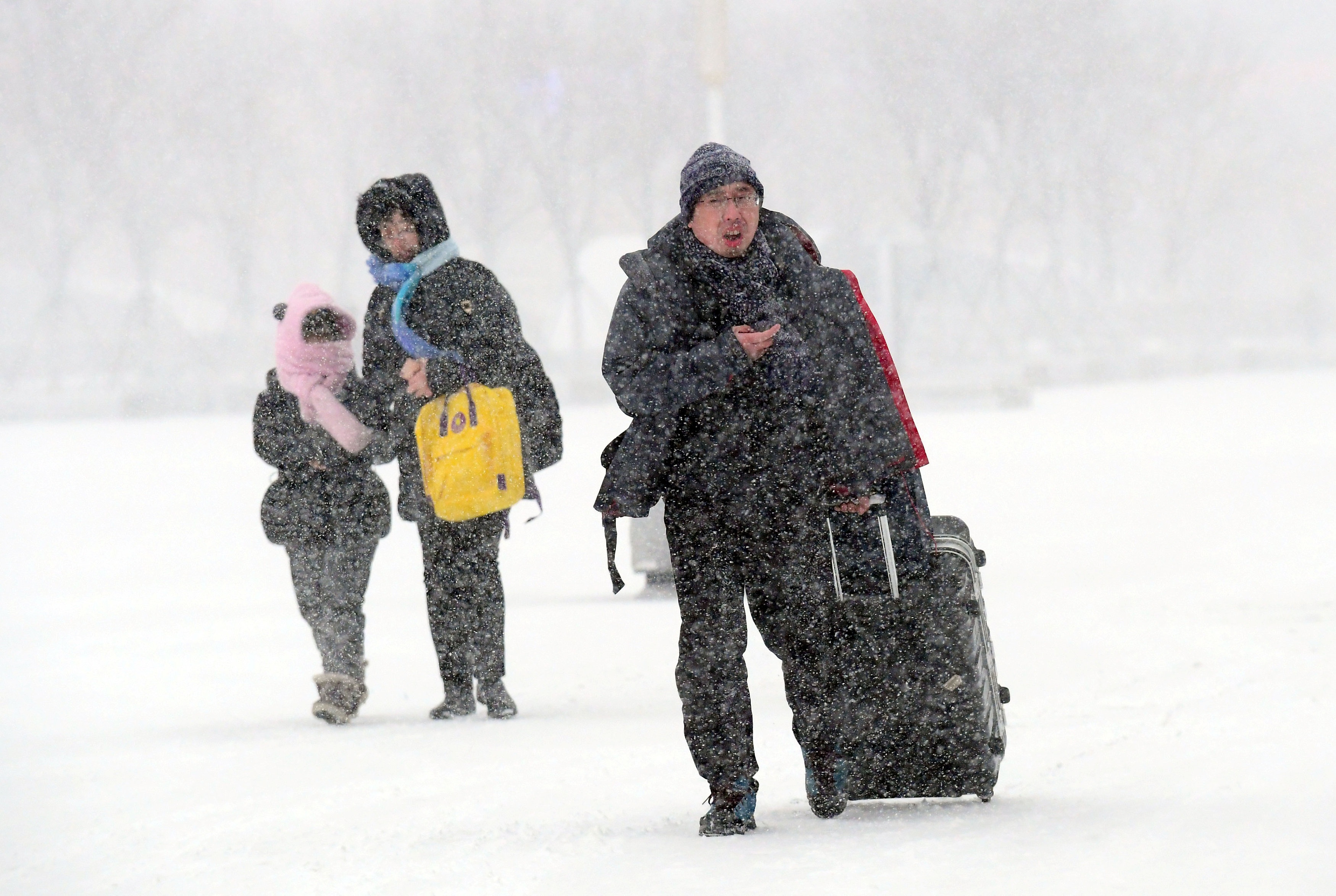 chau A don nam moi anh 1