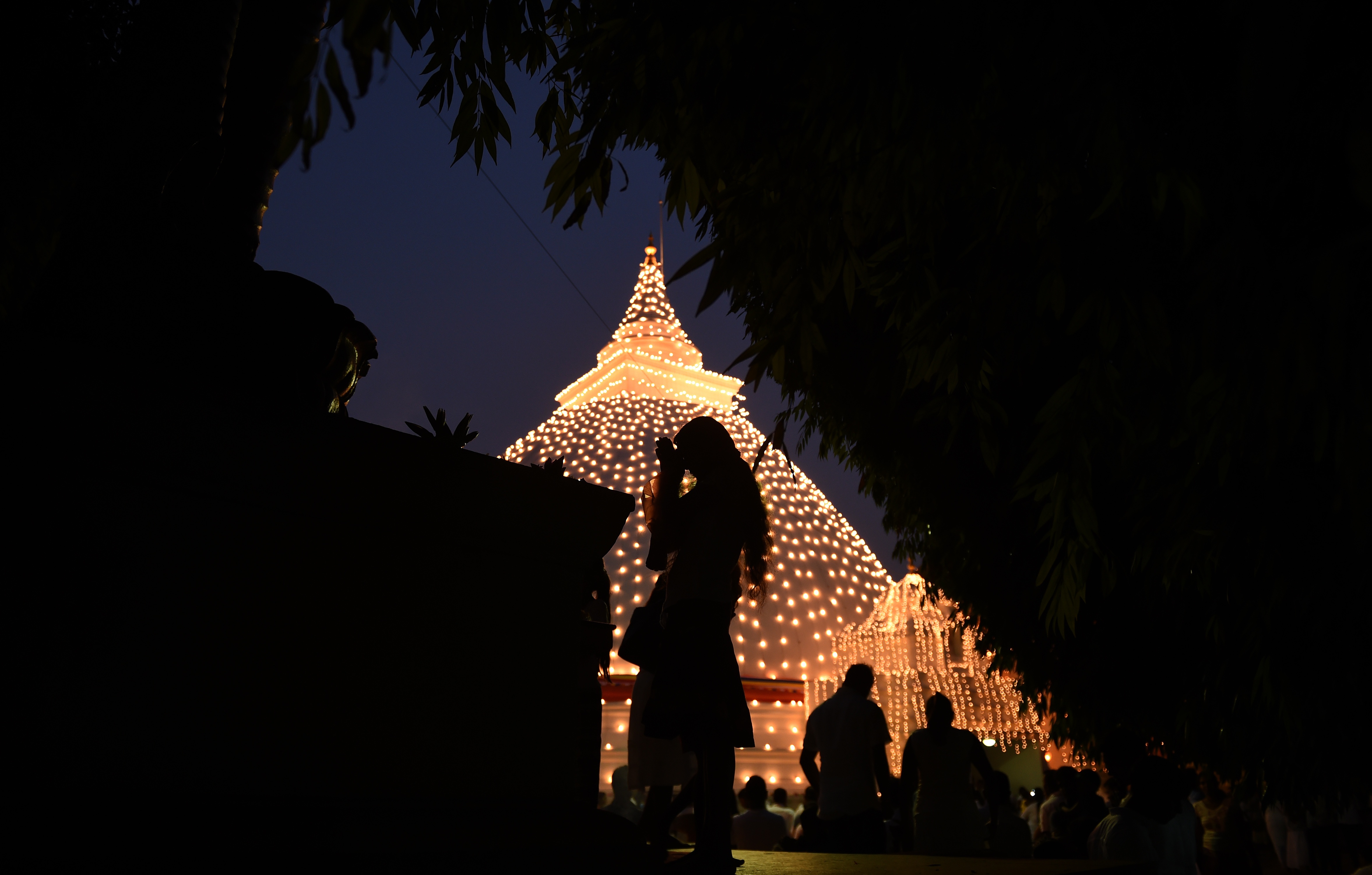 chau A don nam moi anh 8