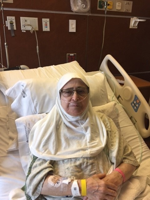 người nhập cư ảnh 2 nguoi nhap cu anh 2