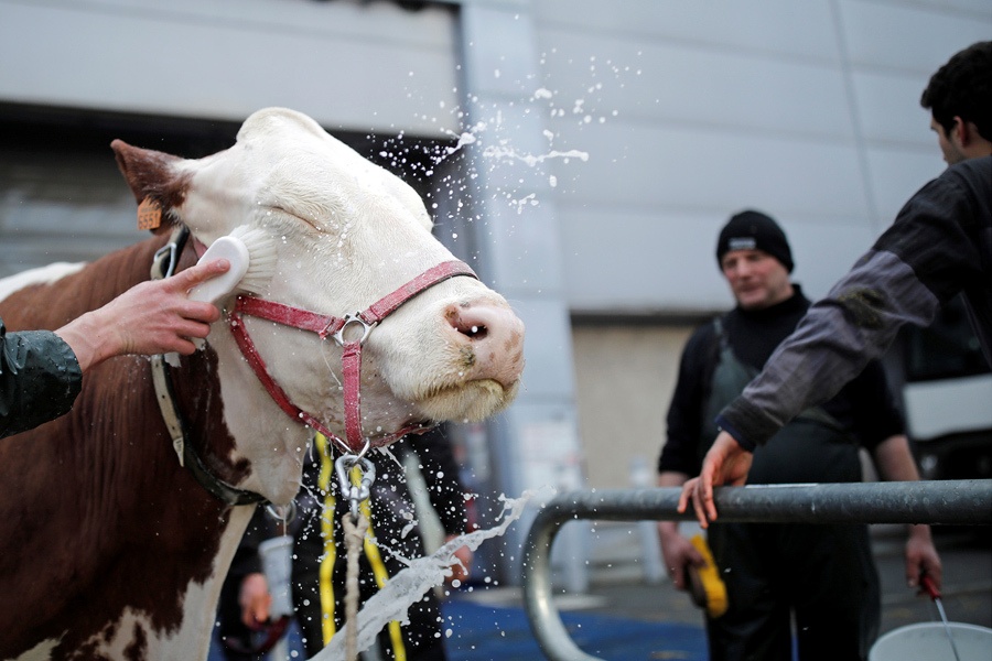 anh dep trong tuan anh 6