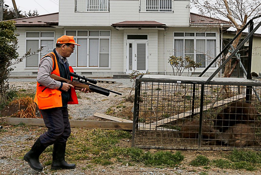 6 nam sau tham hoa Fukushima: Nguoi dan bat dau ve nha hinh anh