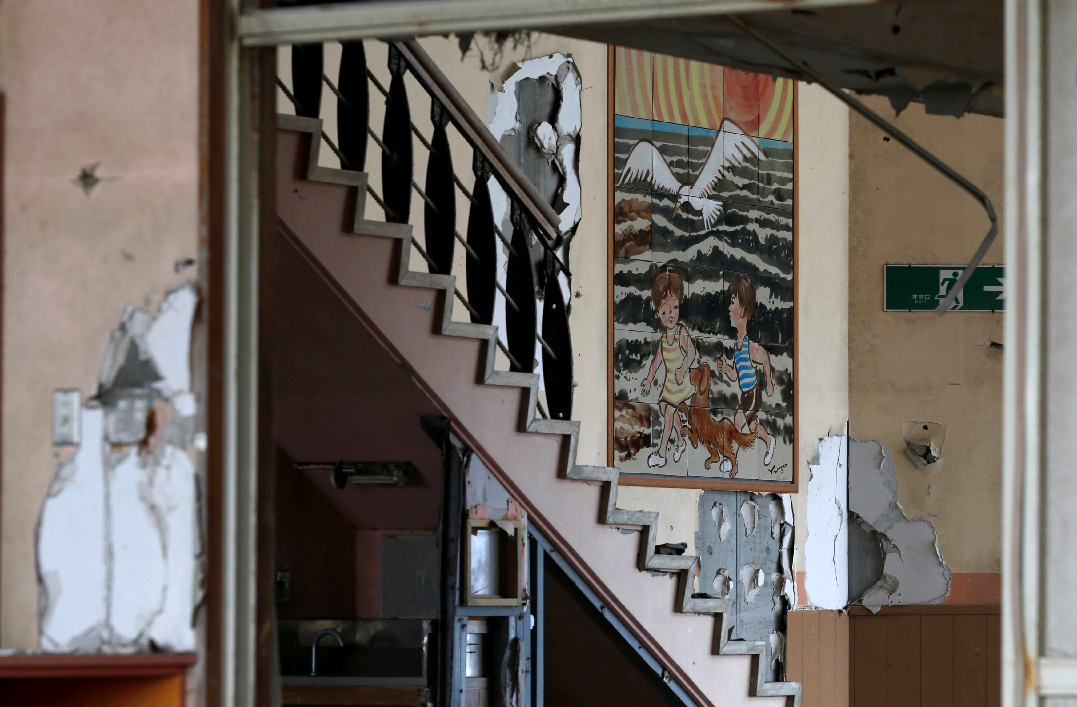 tham hoa hat nhan Nhat Ban anh 3