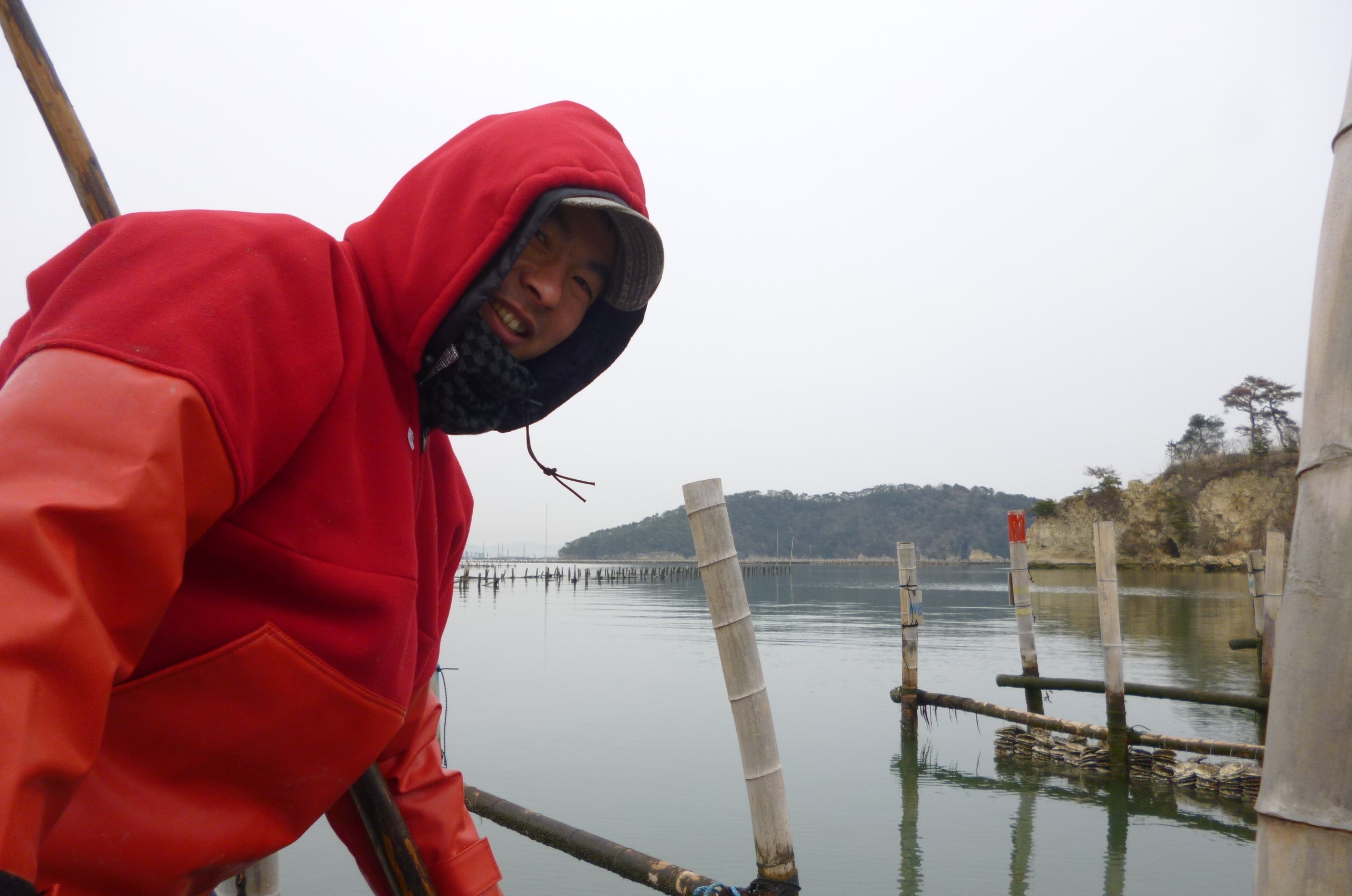 tham hoa dong dat song than Nhat Ban anh 11