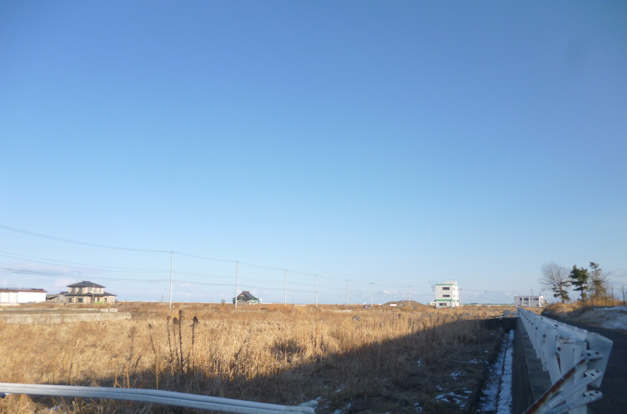 tham hoa dong dat song than Nhat Ban anh 5