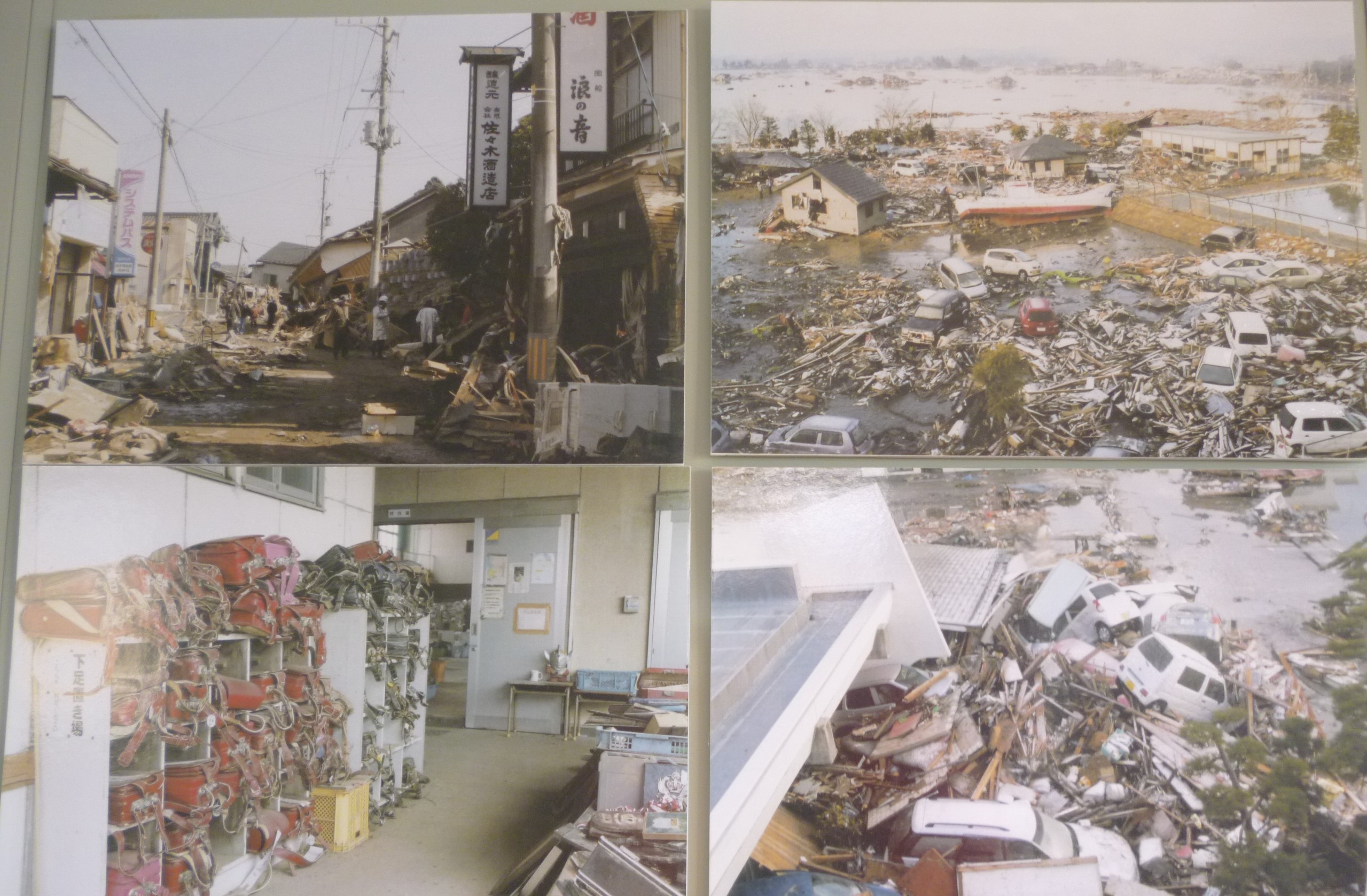 tham hoa dong dat song than Nhat Ban anh 7