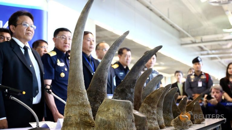 Thái Lan tịch thu sừng tê giác ảnh 1 Thai Lan tich thu sung te giac anh 1