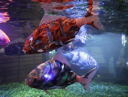 khach san robot o Nhat anh 6