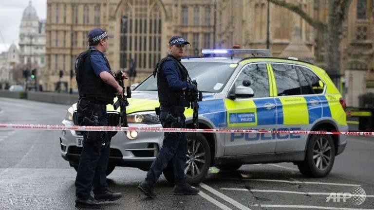 tan cong khung bo o Anh anh 1